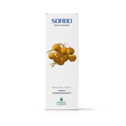 Promopharma Sorbo Gemmoderivato 50ml-1