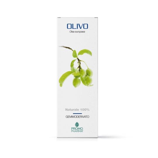 OLIVO DERIVADO DE GEMA 50ML-2