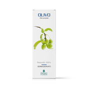 OLIVO DERIVADO DE GEMA 50ML-1