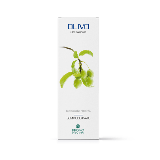 OLIVO DERIVADO DE GEMA 50ML-1