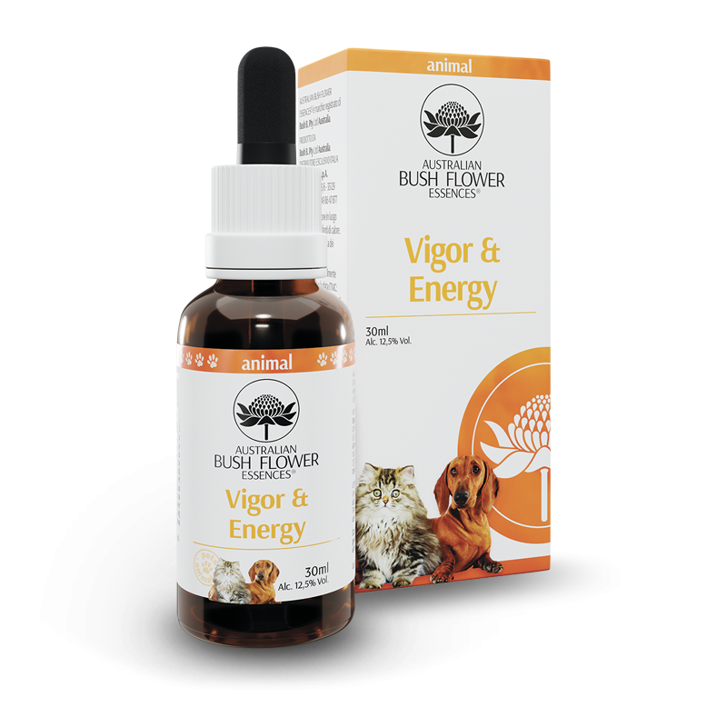 Australian Bush Flower Essences Vigor y Energía 30ml-2