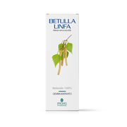 ABEDUL LINFA GD 100ML-1