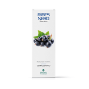 GROSELLA NEGRA GD 100ML-1