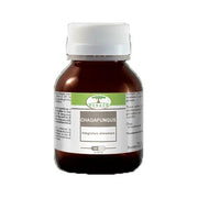 CHAGAFUNGO 60CPS-2