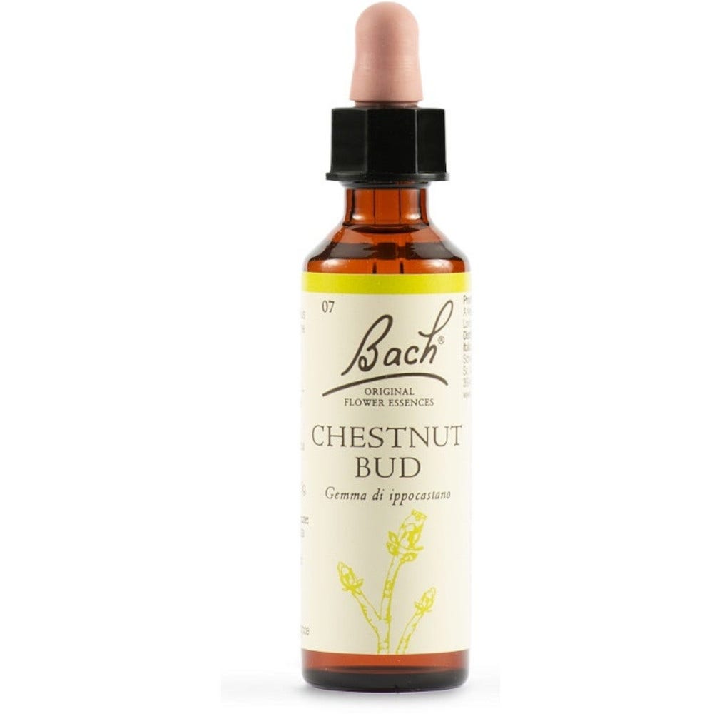 Chestnut Bud Bach Esencias Florales Originales 20ml-2
