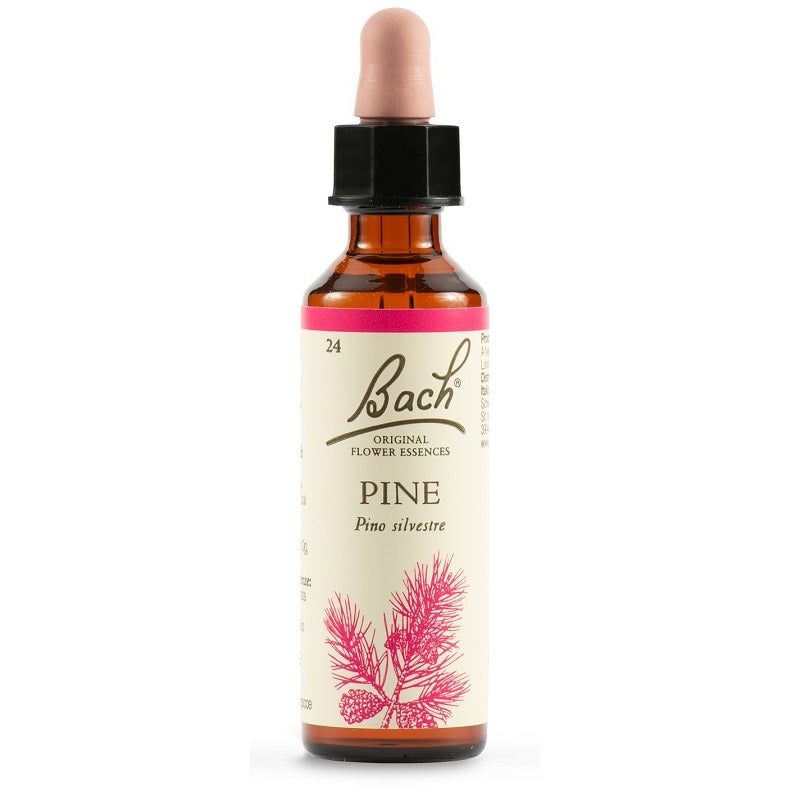 Pino Bach Orig 20ml-1