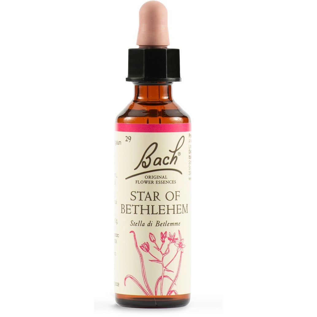 Flores de Bach Cangrejo Estrella de Belén Bach Original 20ml-2