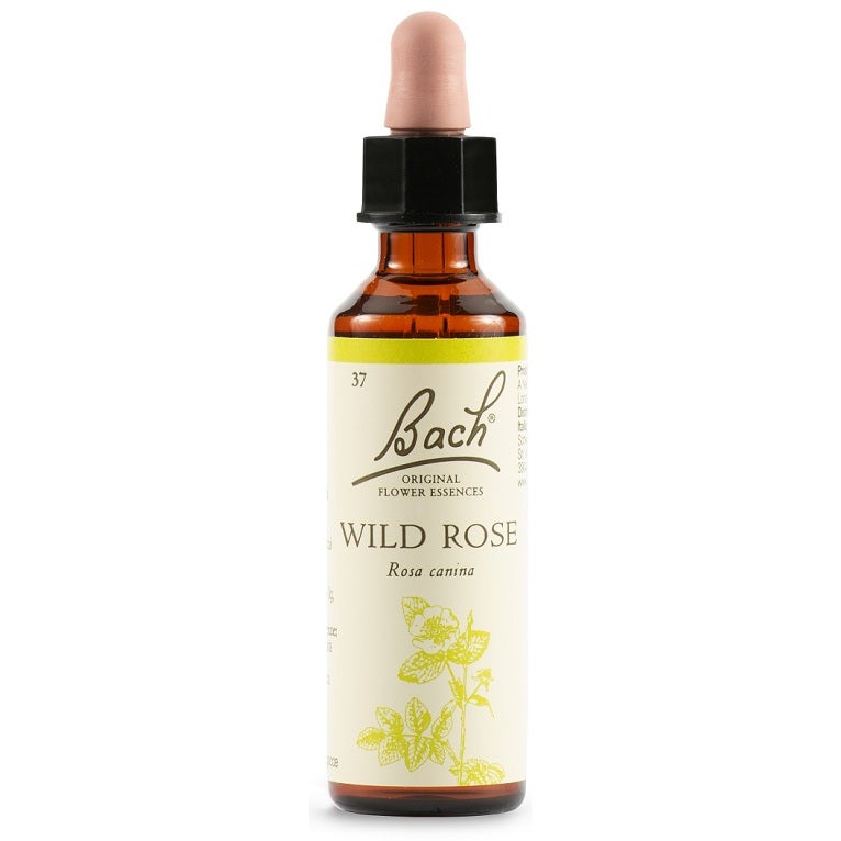 Flores de Bach Rosa Silvestre Bach Original 20ml-2