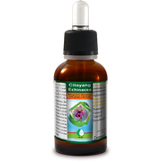 Citoyang Equinácea Gotas 50ml-1