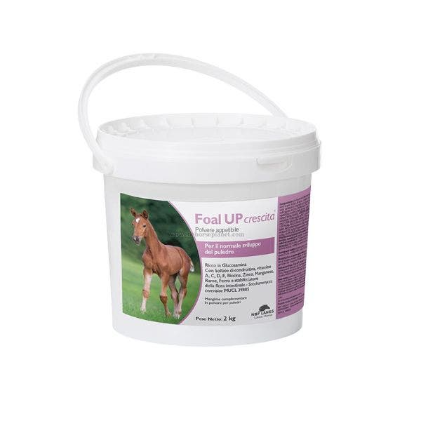Nbf Lanes Foal UP Growth Pienso en polvo para potros, tarro de 2 kg-1