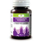 Polvo de Glucosamina Mejorada 75g-1