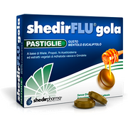 Shedirflu Garganta Mentol Eucaliptol 48 Comprimidos-1