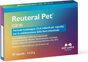 NBF Lanes Reuteral Probióticos para Perros 30 Cápsulas-1