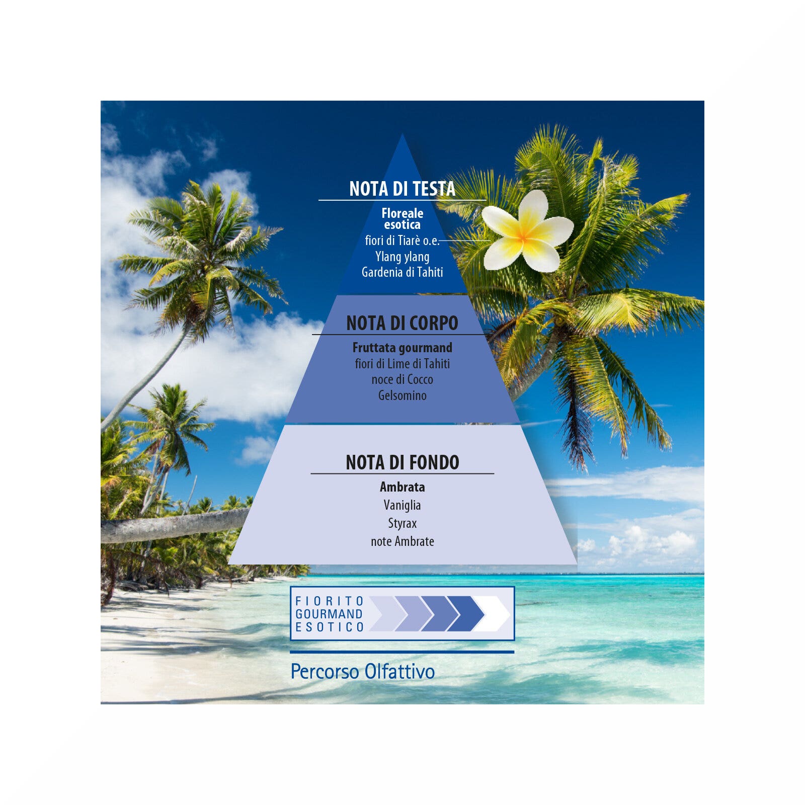 Helan Monoï de Tahití Eau de Toilette 10ml-2