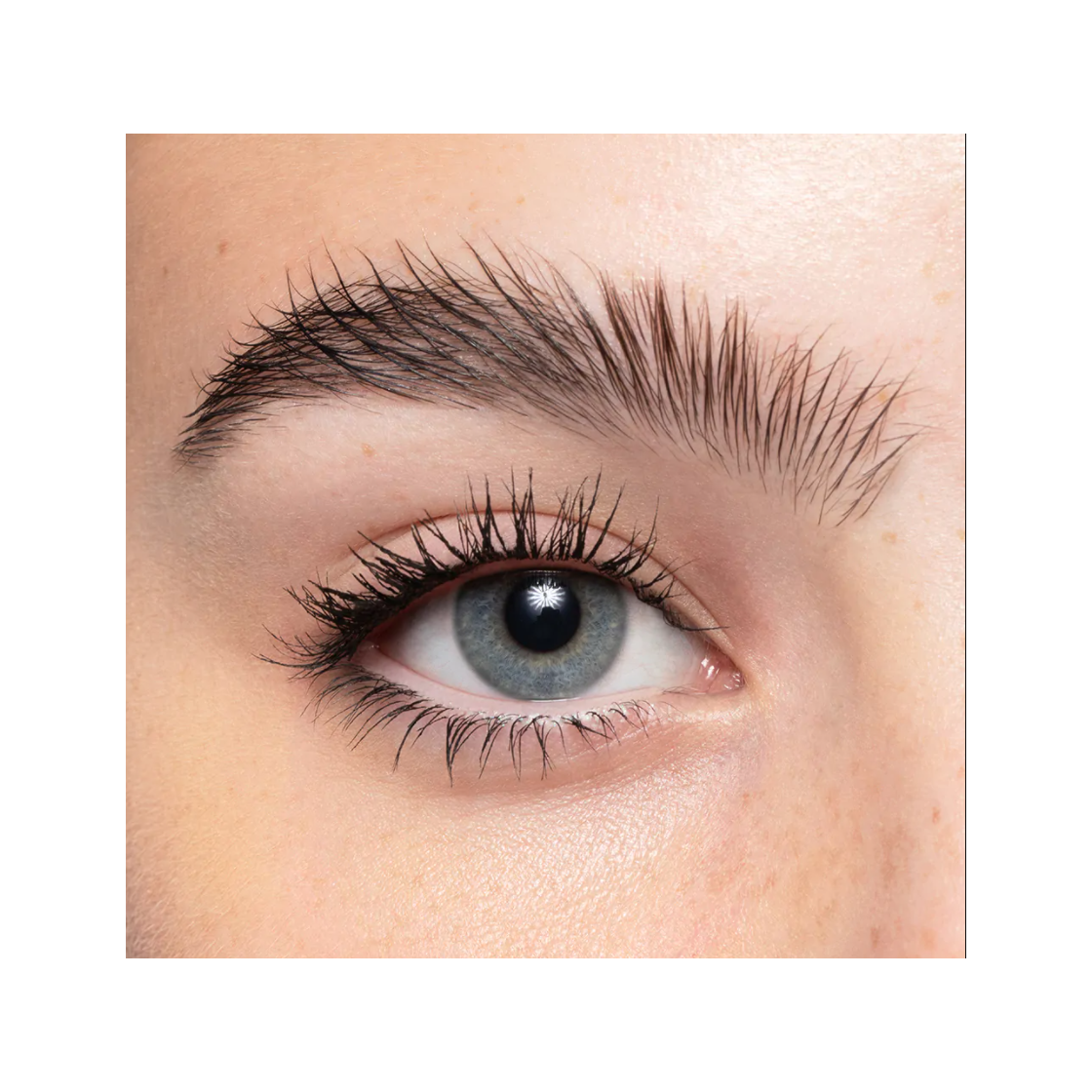 Purobio Mascara Swipe Up Curling-2