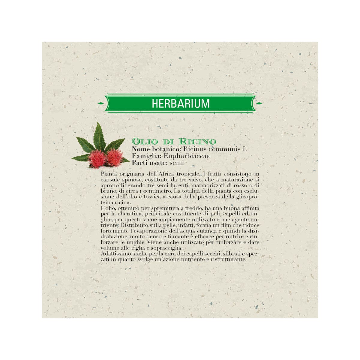 LOS REMEDIOS BIO ACEITE DE RICINO 100ML-3