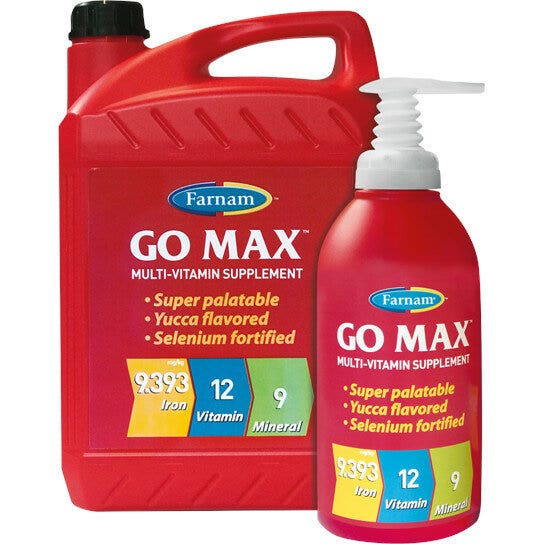 Pienso Complementario Go Max Para Equinos Deportivos 3.8 Litros-2