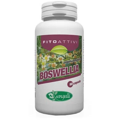 FITOACTIVOS BOSWELIA 90CPS-2