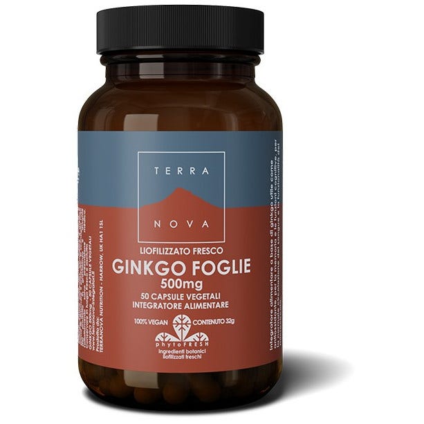 HOJAS DE GINKGO TERRANOVA 50CPS-2