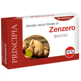 Extracto de Jengibre Seco 60 Comprimidos-2