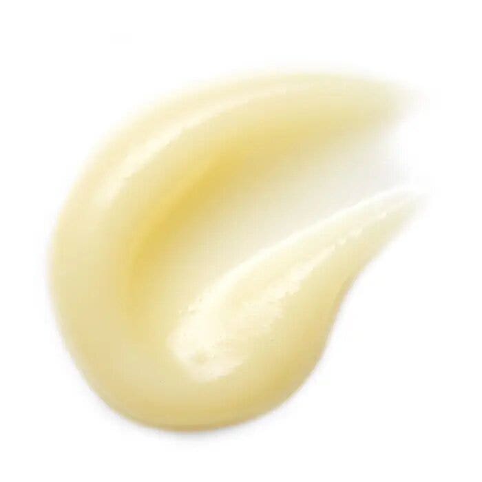 Sarah Chapman Skinesis concentrado labial nocturno 6,5 ml-3