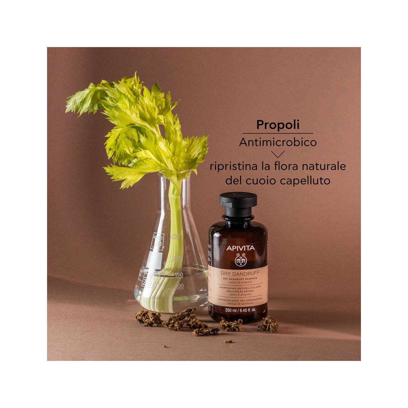 Apivita Champú Anticaspa Seca Para Cabello 250ml-7
