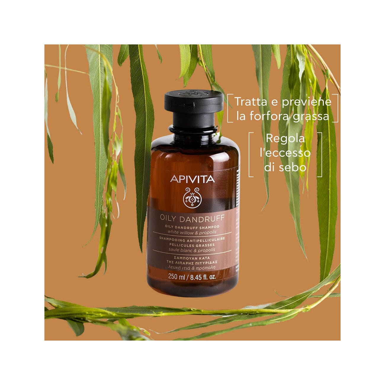 Apivita Champú Anticaspa Grasa Para Cabello 250ml-2