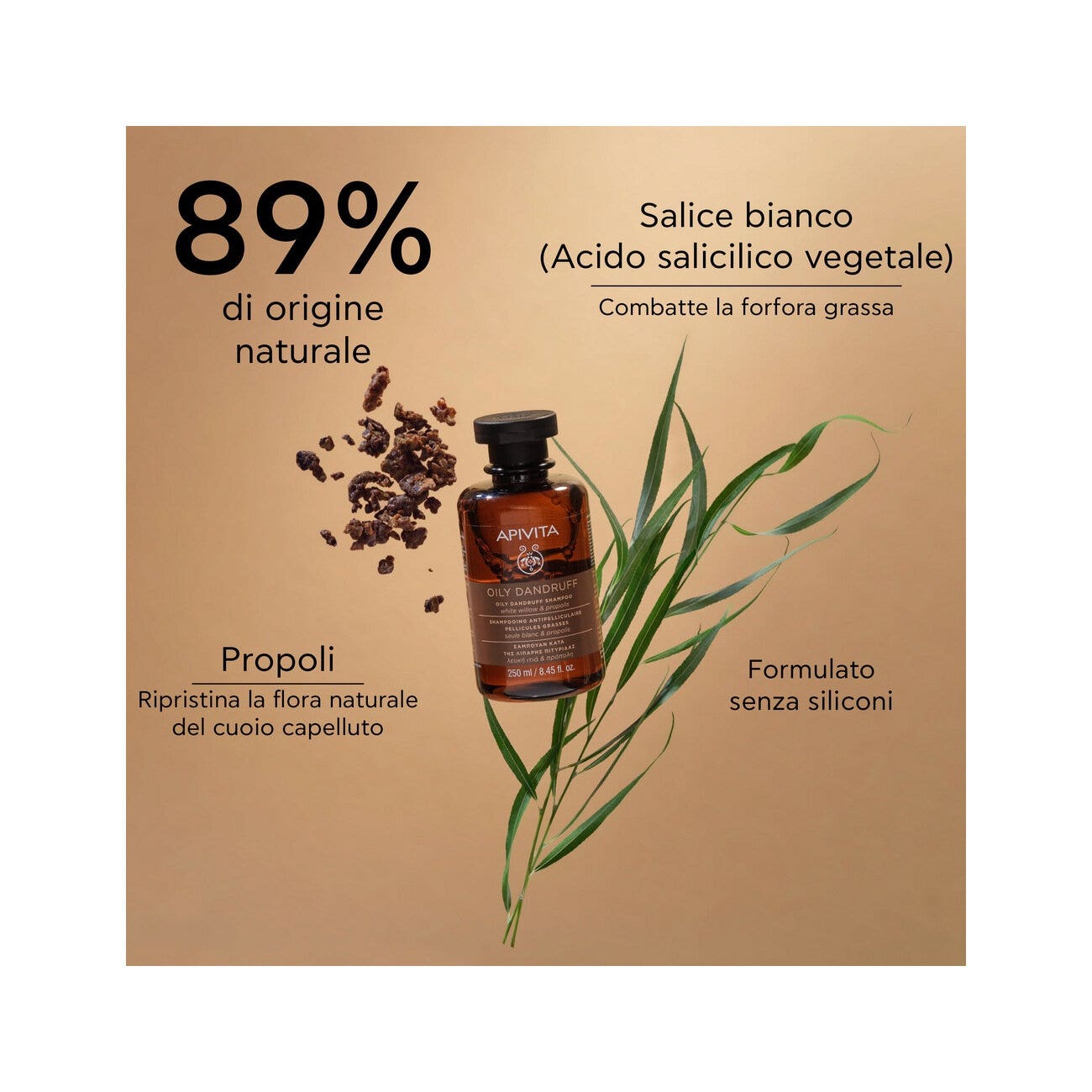 Apivita Champú Anticaspa Grasa Para Cabello 250ml-3