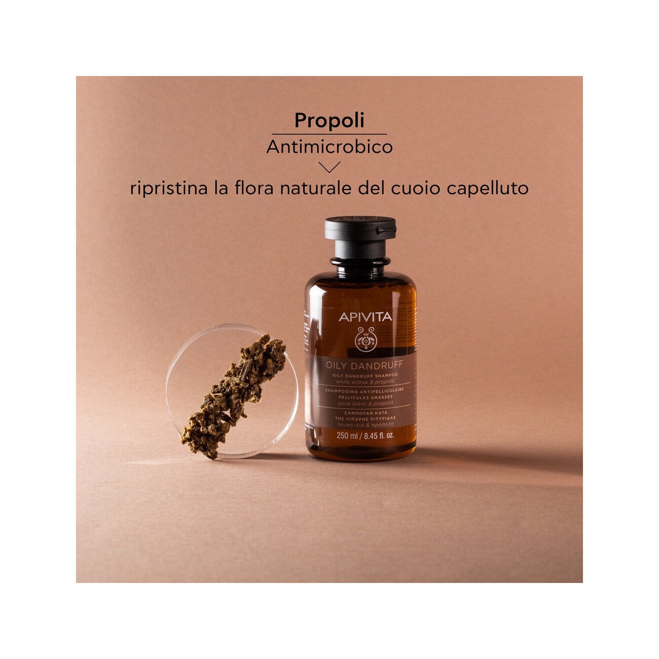 Apivita Champú Anticaspa Grasa Para Cabello 250ml-7