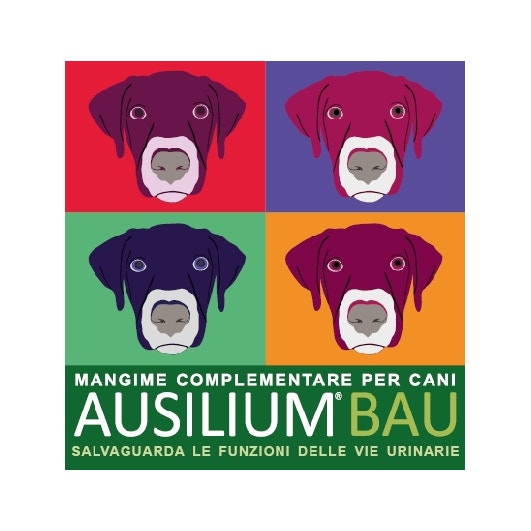 Ausilium Bau Alimento Complementario Para Cistitis Perros 300g Con Vaso Medidor-1
