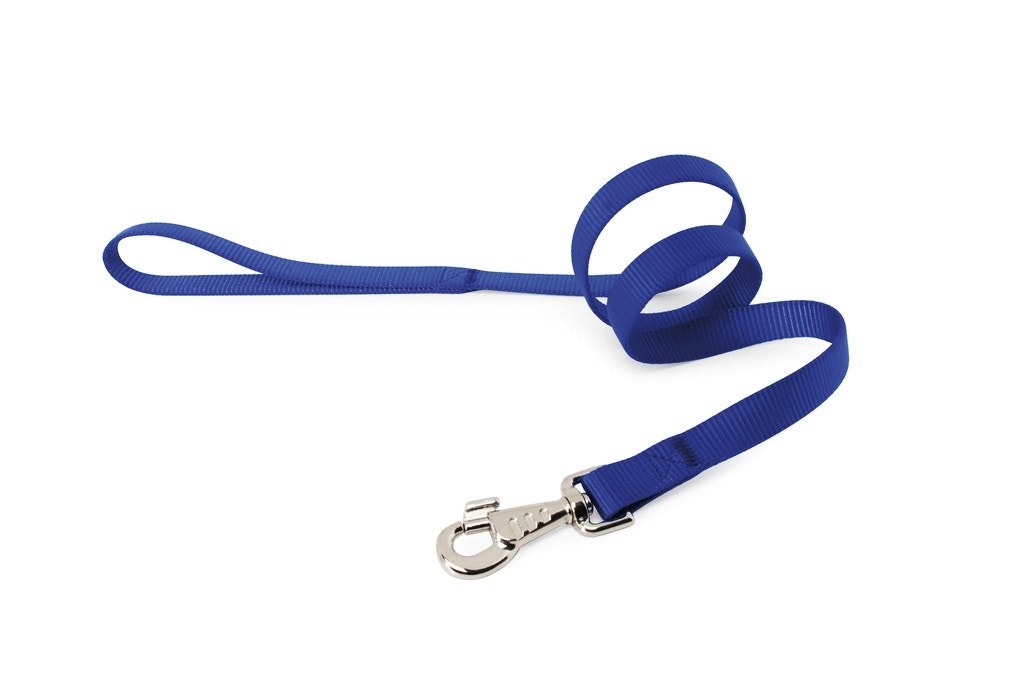 Correa Camon Nylon Para Perros Color Azul Oscuro 25x1000mm-1