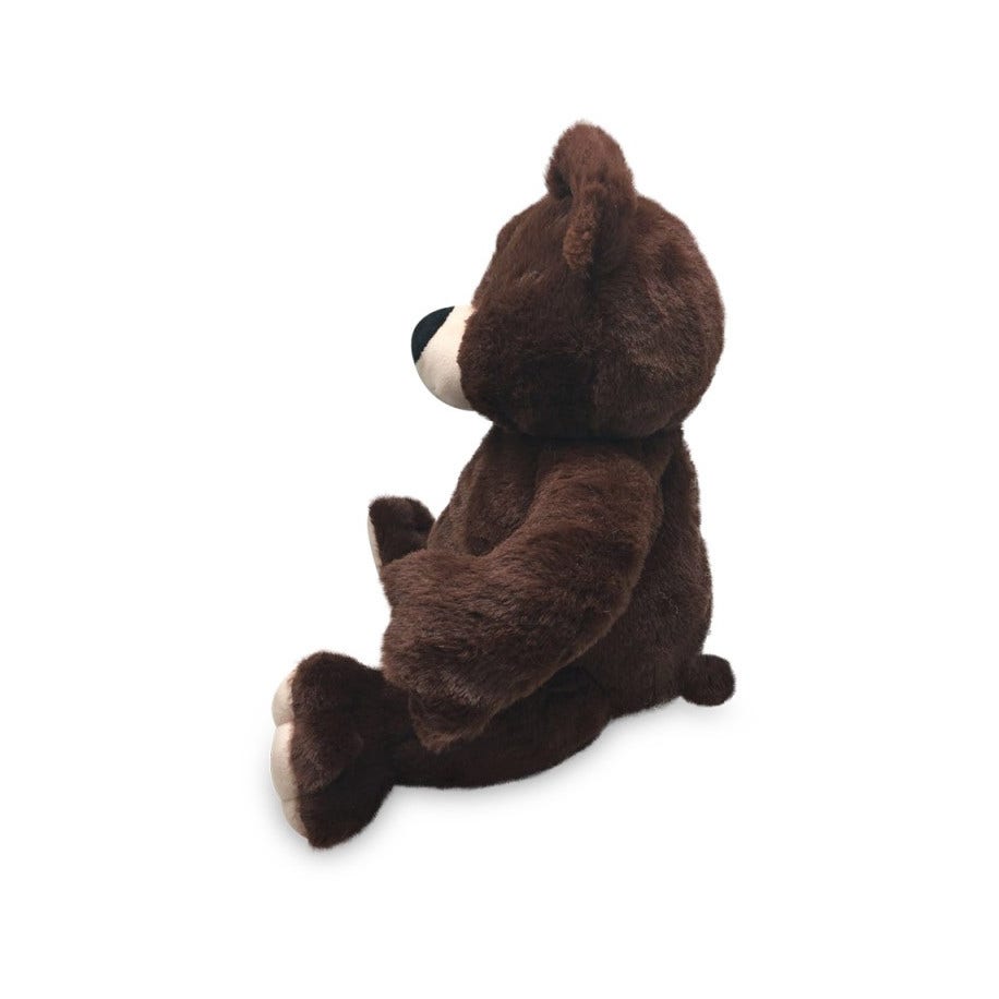 Peluche Oso Pardo Cálido Aroma-2