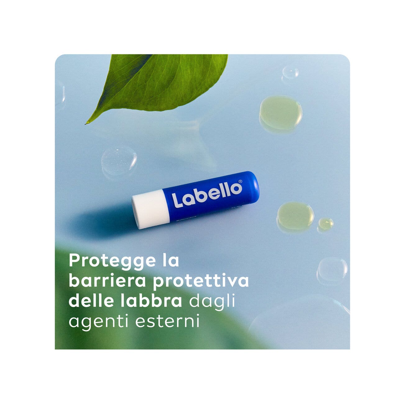 Labello Classico Care 1 Pieza-3