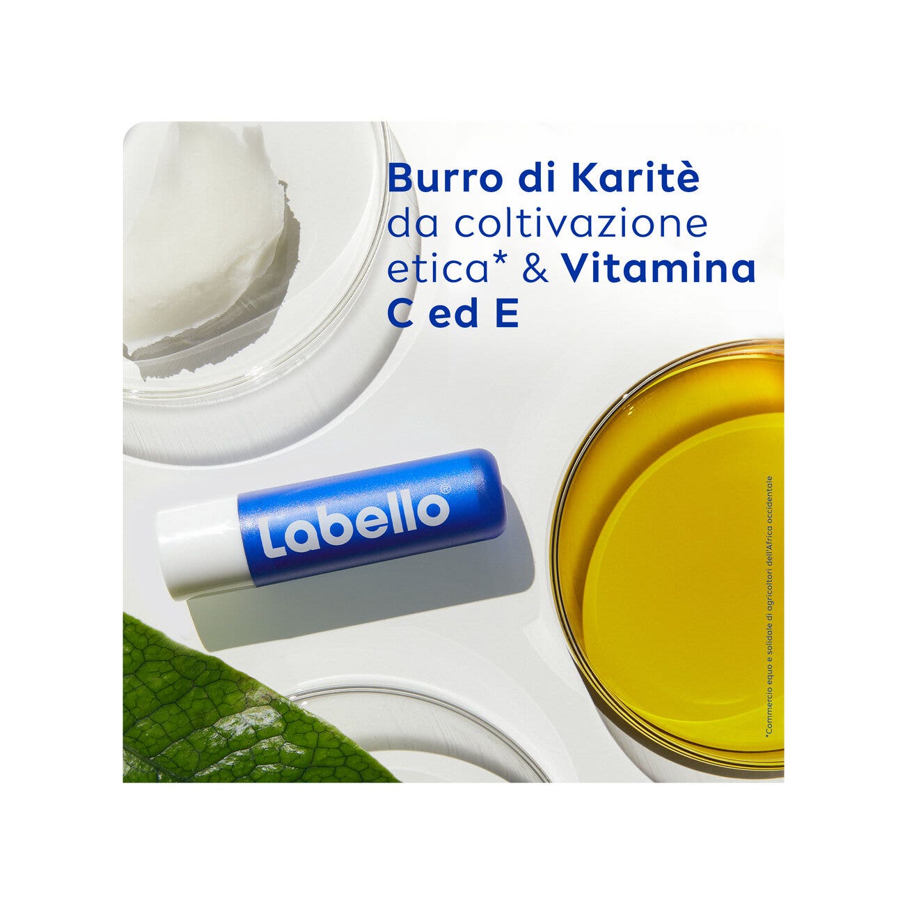 Labello Classico Care 1 Pieza-4