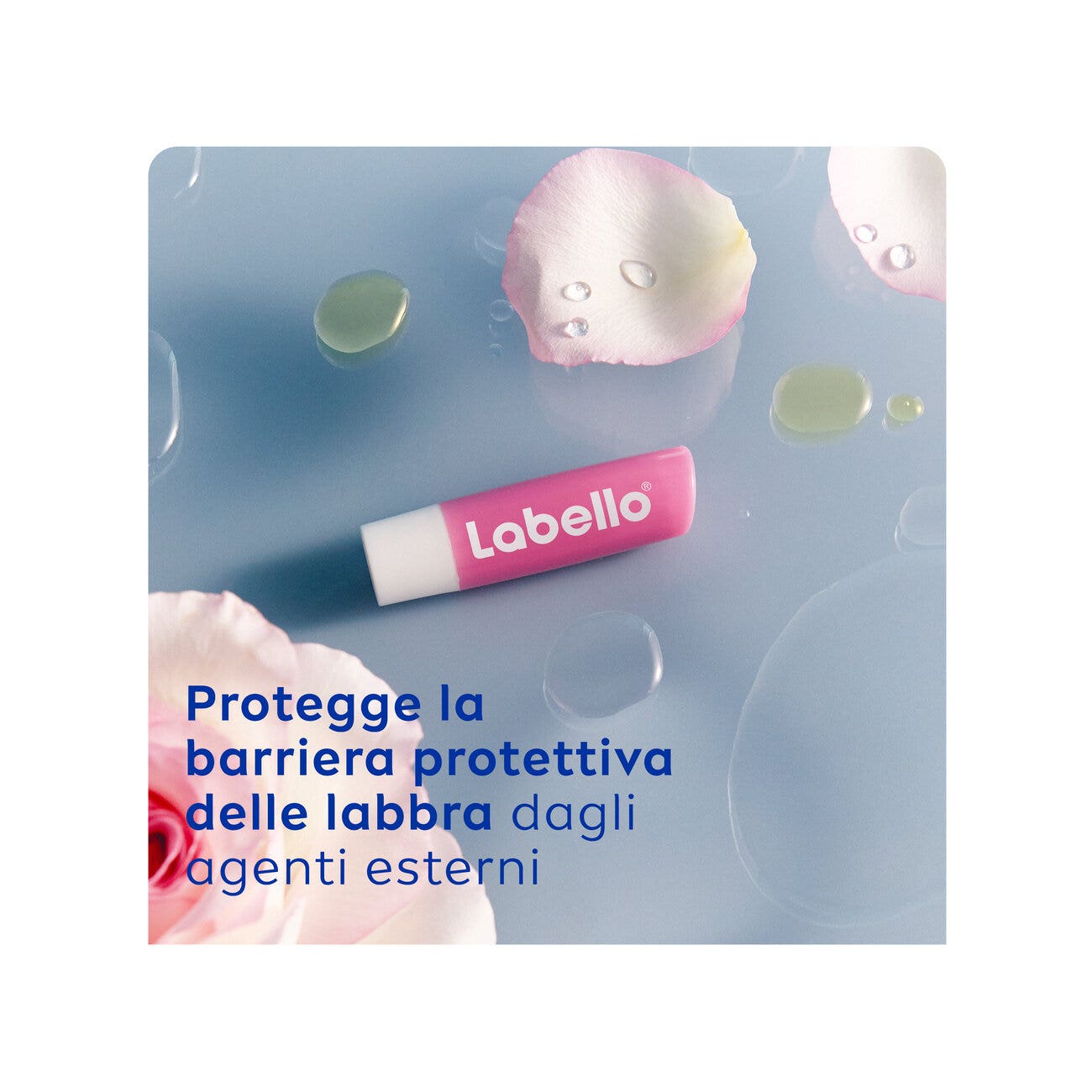 Labello Rosa Suave 5.5ml 1 Pieza-3