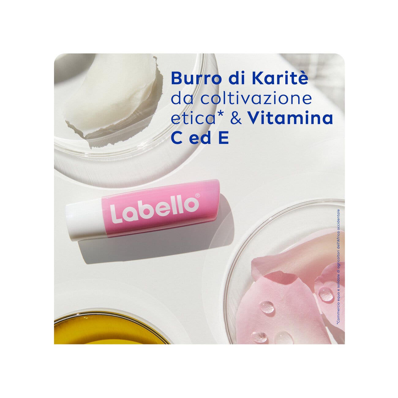 Labello Rosa Suave 5.5ml 1 Pieza-4
