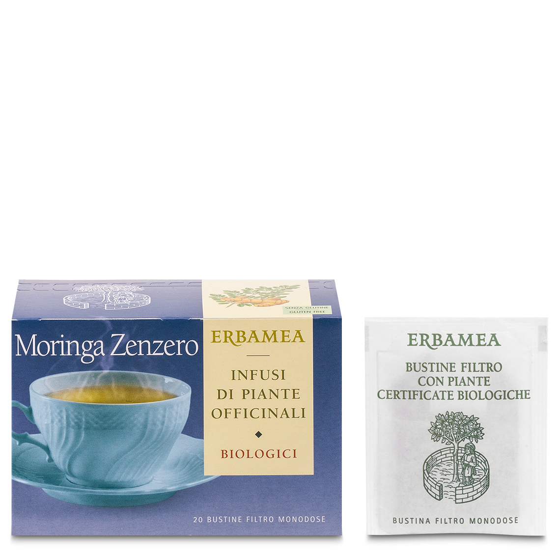 MORINGA JENGIBRE ORGÁNICO 20BUSTO-1
