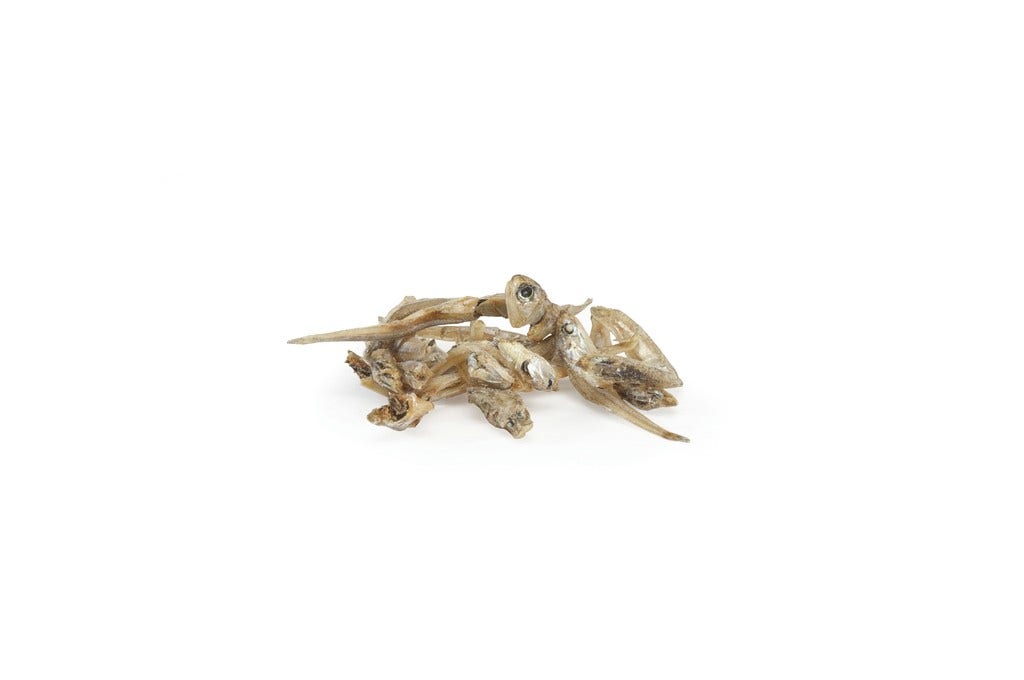 Camon Anchoas Secas para Gatos 30g-2