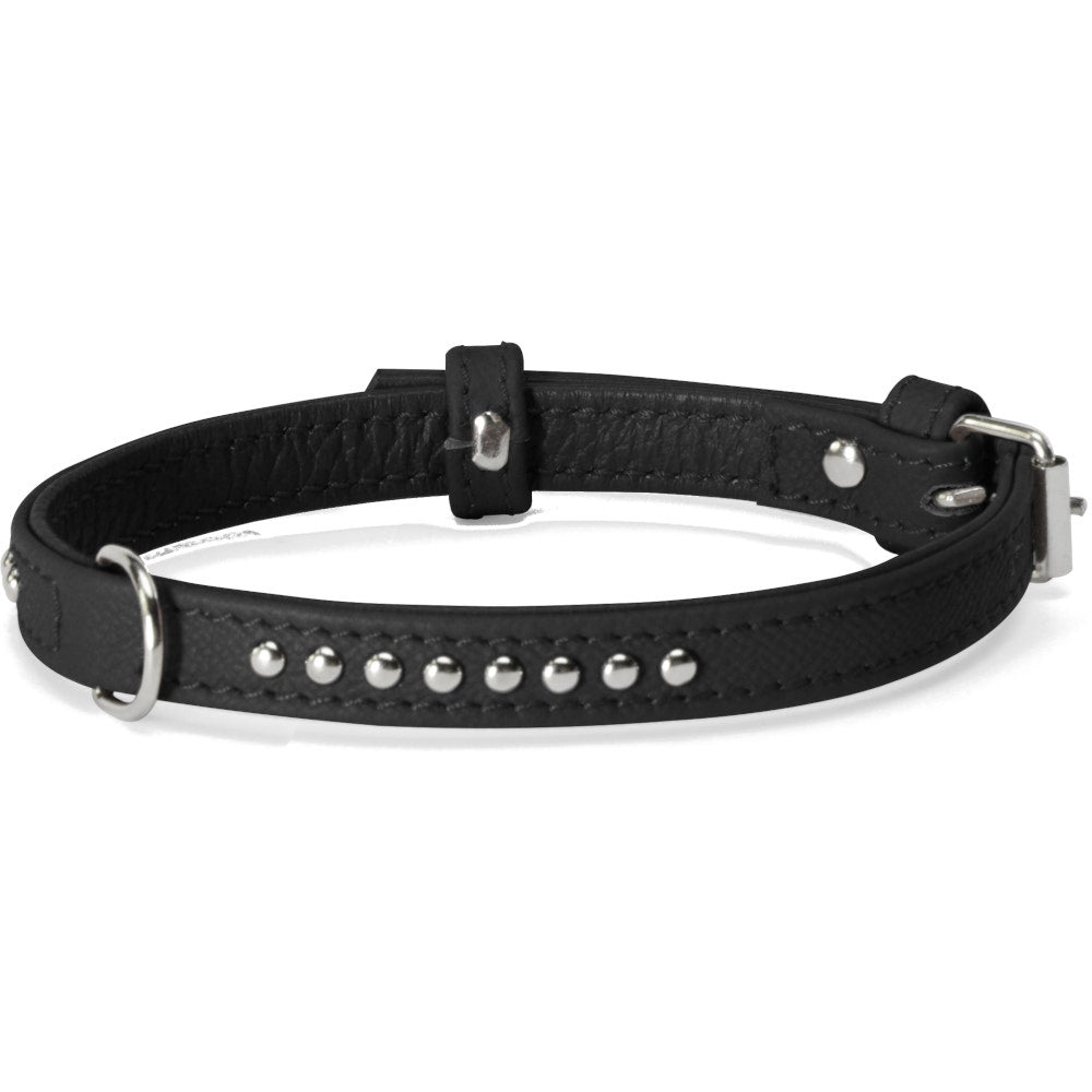 Collar Camon Con Tachuelas Negras 15x450mm-3