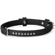 Collar Camon Con Tachuelas Negras 15x450mm-3