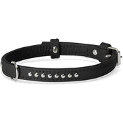 Collar Con Tachuelas Camon Para Perros Color Negro 35x650mm-1