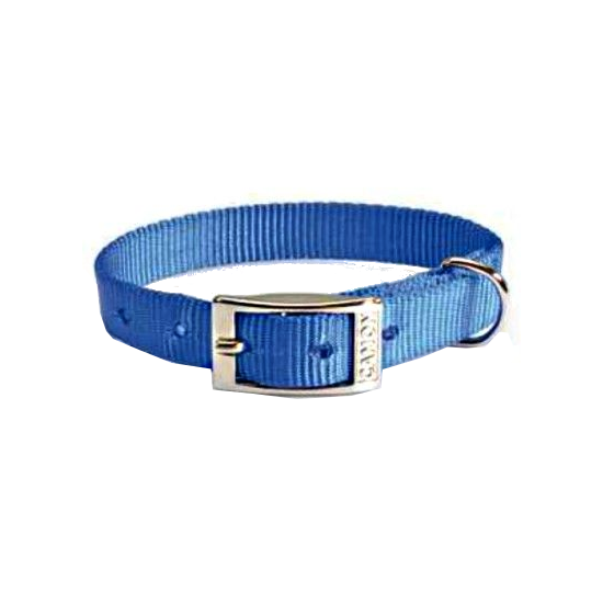 Collar Camon Nylon Para Perros Color Azul 12x380mm-3