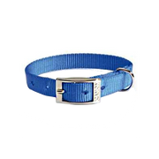 Collar Camon Nylon Para Perros Color Azul 15x450mm-1