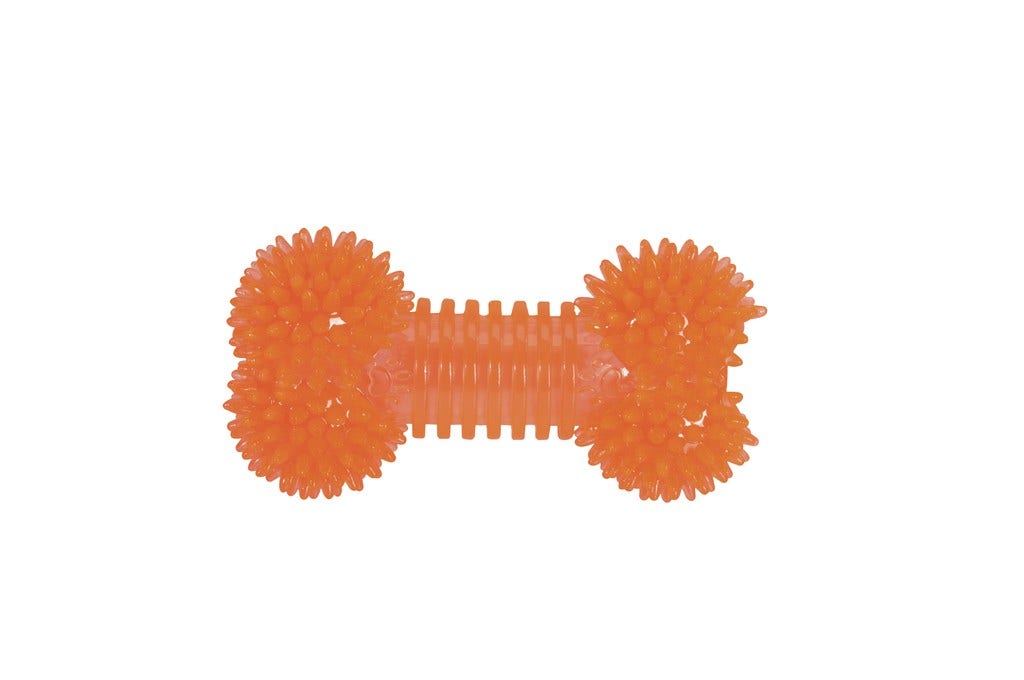 Juego De Hueso Camon Con Pinchos Y Chirriador Para Perros Diametro 16,5cm-2