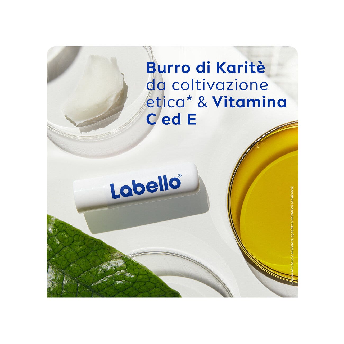 Labello Med Reparador Spf 15 5.5ml-4