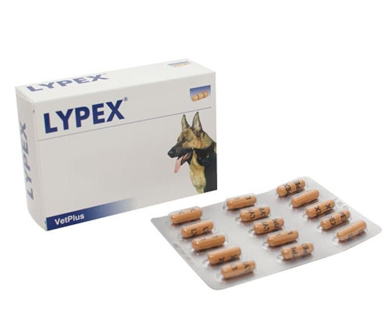 Lypex Complemento Alimenticio Para Mascotas 60 Cápsulas-1