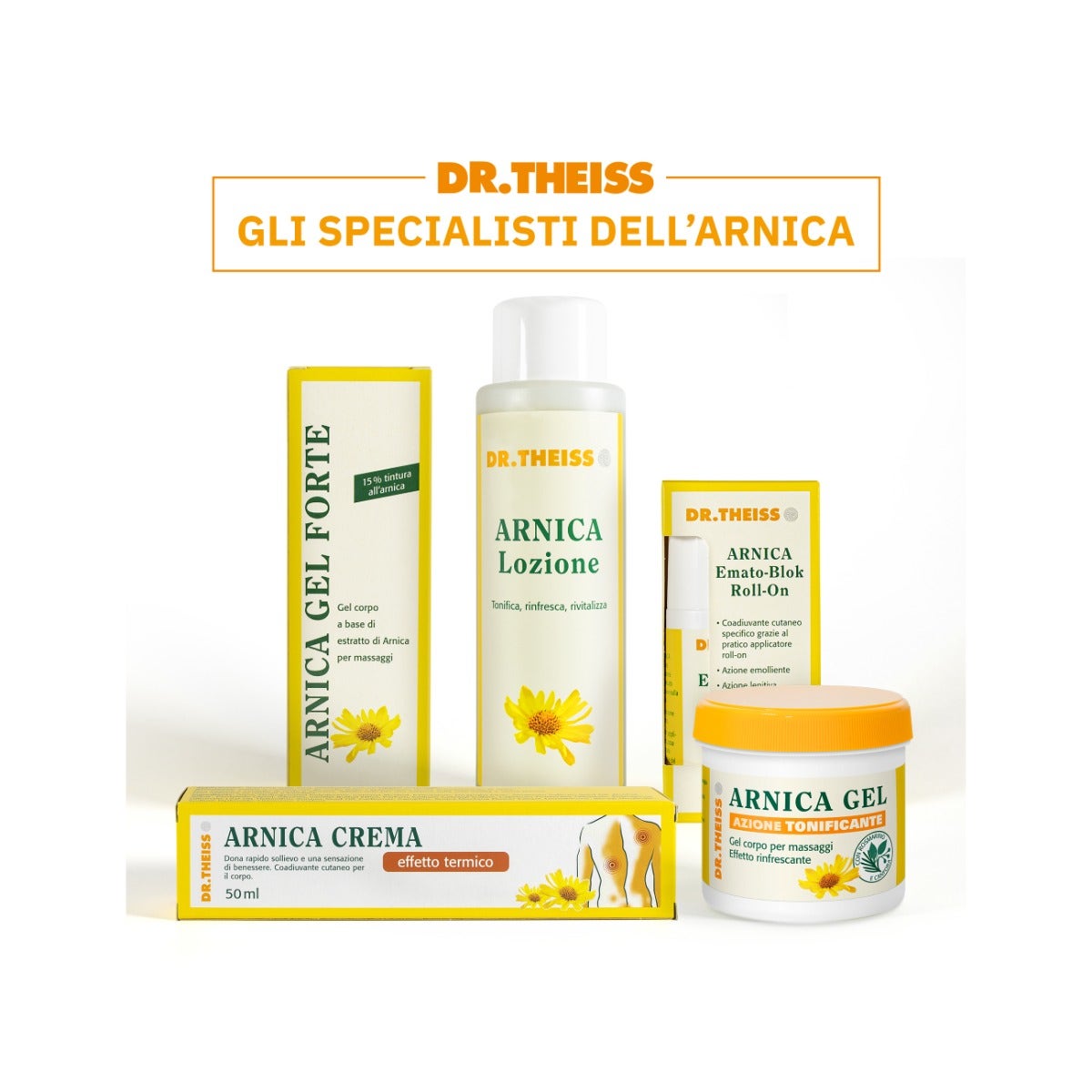 Dr Theiss Emato Block Árnica Roll-On 50ml-4