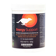 APOYO ENERGÉTICO 400G-1