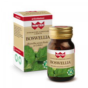 Winter Boswellia 55 Cápsulas Vegetarianas-1