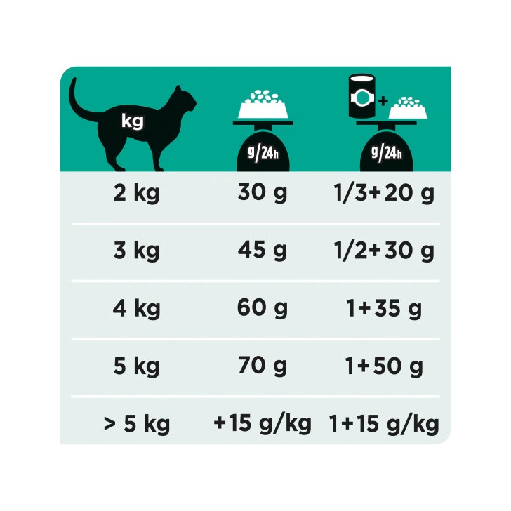 Purina Pro Plan Veterinary Diets Dry Cat ES Gastrointestinal St/Buey Bolsa 400g-4